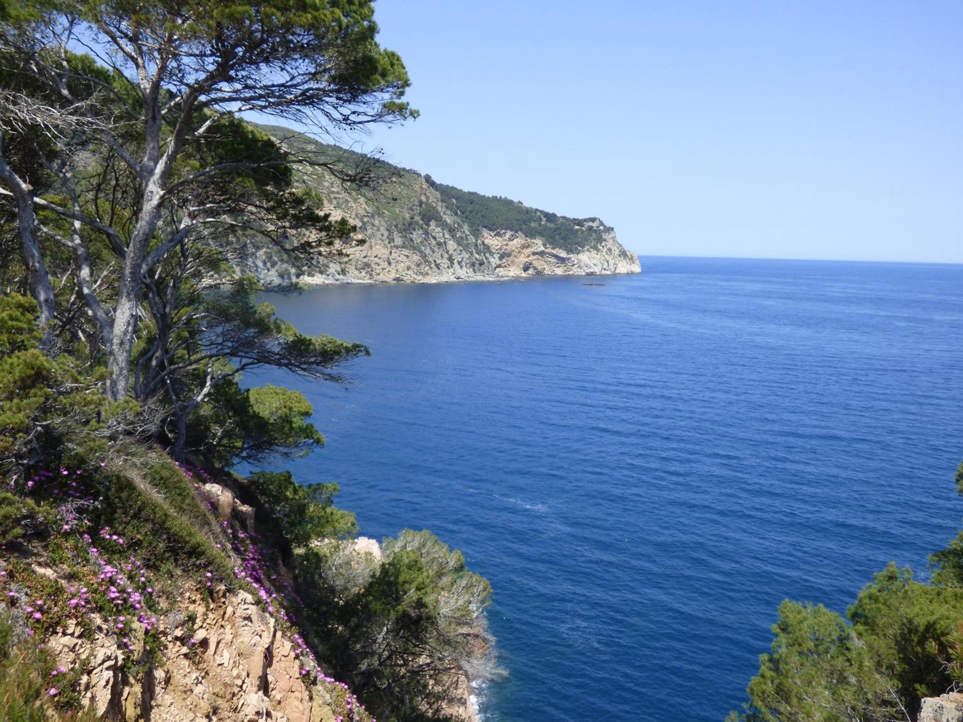 "La Terrasse De La Mer 8" -Climatisation-Wifi-Bbq -Piscine-Parking Begur Exterior foto